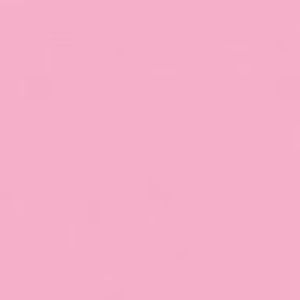 Meet your Posher, Anisha